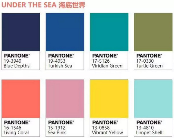 1551496862882767.jpg 配图8 海底.jpg